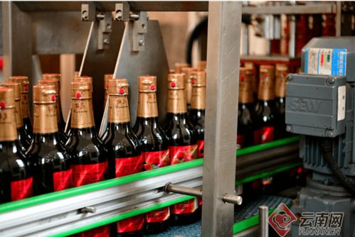 拓东路的最后一滴酱油香